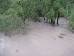 Innauen Hochwasser 10