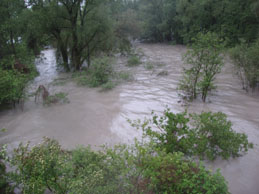 Innauen Hochwasser 9