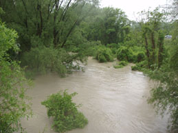 Innauen Hochwasser 11