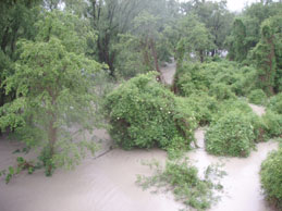 Innauen Hochwasser 12