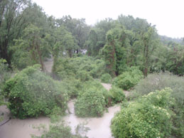 Innauen Hochwasser 14