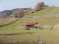 Wildpark in Bayern 01