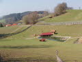 Wildpark in Bayern 02