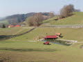 Wildpark in Bayern 04