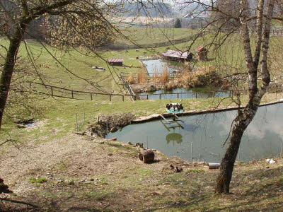 Wildpark in Bayern 13