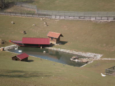 Wildpark in Bayern 18