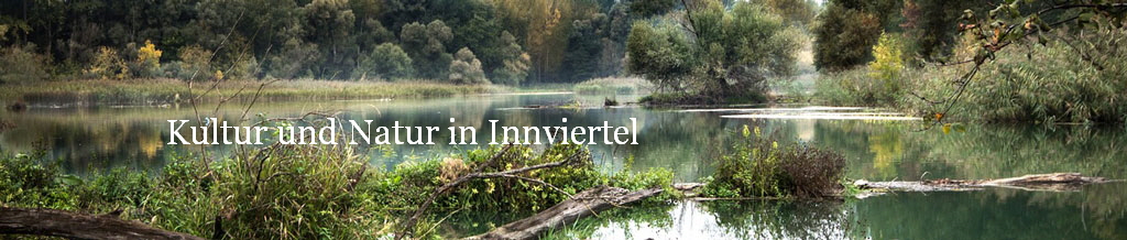 Kultur und Natur in Innviertel