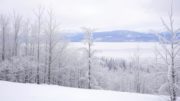 Brauchtum und Natur genießen