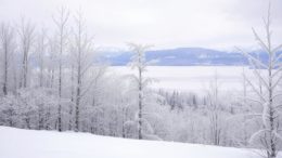 Brauchtum und Natur genießen
