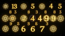 Mathematiker Grigori Grabovoi